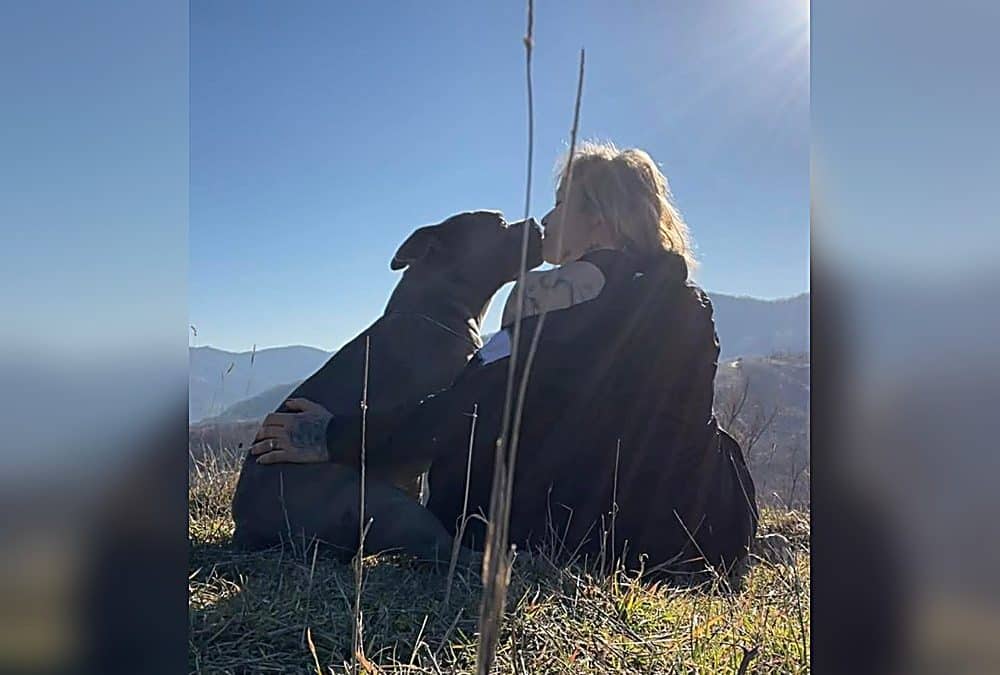 Continuità Allevatore–Proprietario nei Terrier di Tipo Bull: Perché è Fondamentale